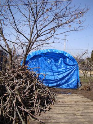 20100308-1.jpg