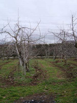 20100324-1.jpg