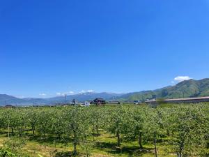 20250506-3.jpg