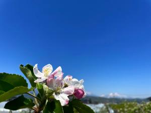 20250506-4.jpg